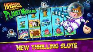 bet cassino